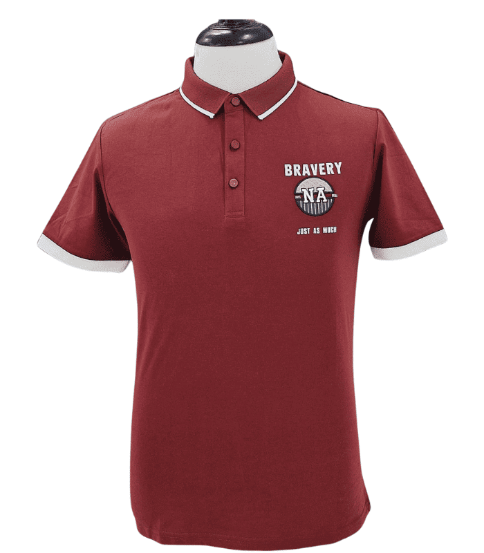 Urban Polo T-Shirt In Pakistan - Maroon color